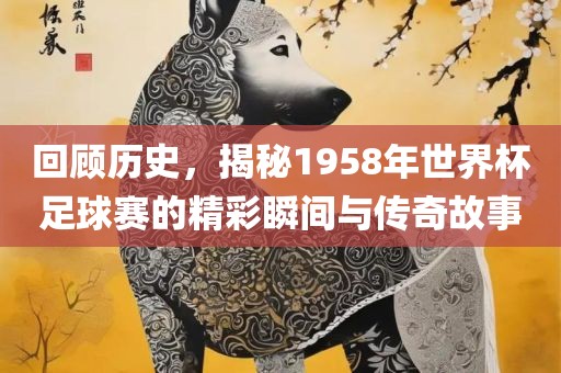回顾历史，揭秘1958年世界杯足球赛的精彩瞬间与传奇故事丹东日丰电子有限公司