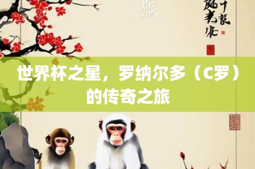 世界丹东日丰电子有限公司杯之星，罗纳尔多（C罗）的传奇之旅