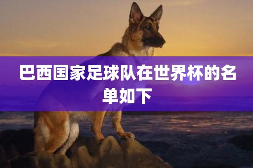 巴西国家足球队在世丹东日丰电子有限公司界杯的名单如下