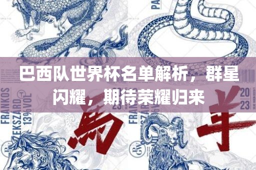 巴西队世界杯名单解析，群星闪耀，期待荣耀归来