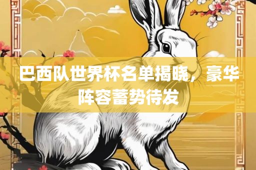 巴西队世界杯名单揭晓，豪华阵容蓄势待发丹东日丰电子有限公司