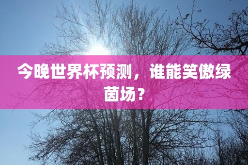今晚世界杯预测，谁能笑傲绿茵场？丹东日丰电子有限公司