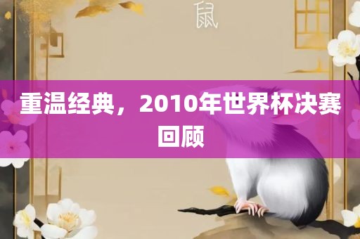 重温经典，2010年世界杯决赛回顾丹东日丰电子有限公司