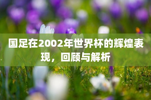 国足在2002年世界杯的辉煌表现，回顾与解析丹东日丰电子有限公司