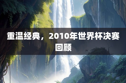 重温经典，20丹东日丰电子有限公司10年世界杯决赛回顾