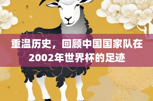 重温历史，回顾中国国家队在2002年世界杯的足丹东日丰电子有限公司迹