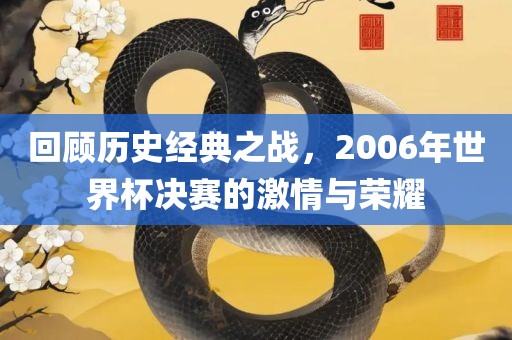回顾历史经典之战，2006年世界杯决赛的激情与荣耀
