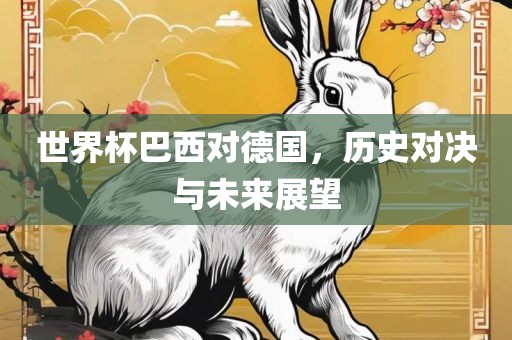 世界杯巴西对德国丹东日丰电子有限公司，历史对决与未来展望