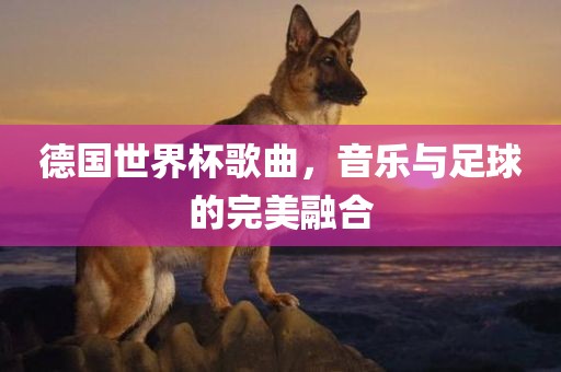 德国世界杯歌曲，音乐与丹东日丰电子有限公司足球的完美融合