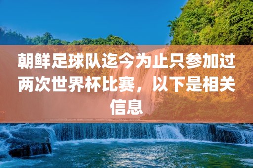 朝鲜足球队迄今为止只参加过两次世界杯比赛，以下是相关信息丹东日丰电子有限公司