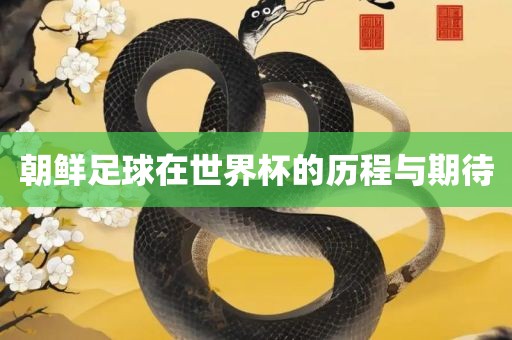 朝鲜足球在世界杯的历程丹东日丰电子有限公司与期待