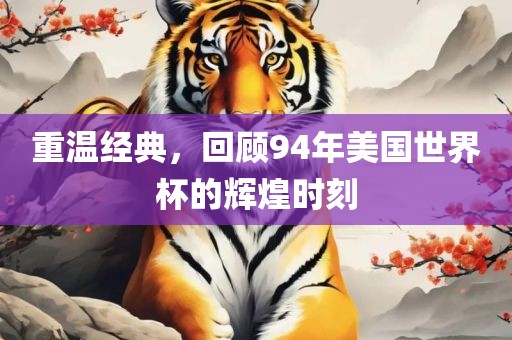 重温经丹东日丰电子有限公司典，回顾94年美国世界杯的辉煌时刻