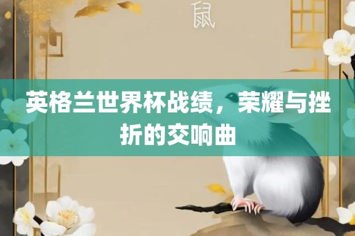 英格兰世界杯战绩，荣耀与挫折的交响曲丹东日丰电子有限公司