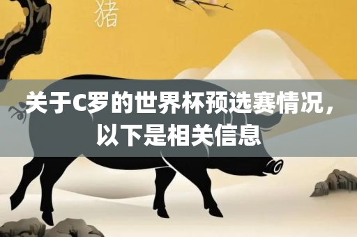 关于C罗的世界杯预选赛情况，以下是相关信息