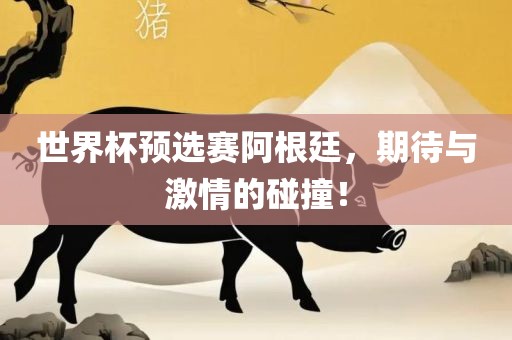世界杯预选赛阿根廷，期待与激情的碰撞！丹东日丰电子有限公司