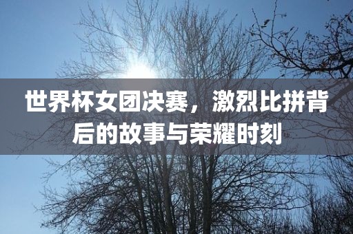 世界杯女团决赛，激烈比拼背后的故事与荣耀时刻丹东日丰电子有限公司