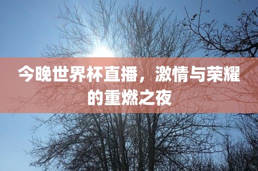 今晚世界杯直播，激情与荣耀的重燃之夜丹东日丰电子有限公司