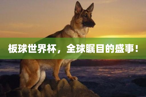 板球世界杯，全球瞩目的盛事！丹东日丰电子有限公司