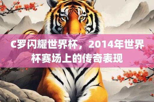 C罗闪耀世界杯，2014年世界杯赛场上的传奇表现