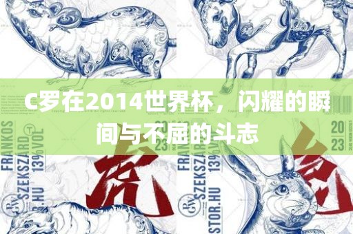 C罗在2014世界杯，闪耀的瞬间与不屈的斗志丹东日丰电子有限公司