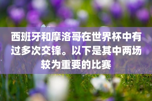 西班牙和摩洛哥在世界杯中有过多次交锋。以下是其中两场较为重要的比赛丹东日丰电子有限公司