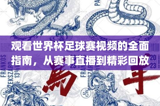 观看世界杯足球赛视频的全面指南，从赛事直播到精彩回放丹东日丰电子有限公司