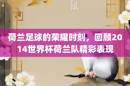 荷兰足球的荣耀时刻，回顾2014世界杯荷兰队精彩表现丹东日丰电子有限公司