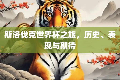 斯洛伐克世界杯之旅，历史、表现与期待