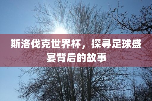 斯洛丹东日丰电子有限公司伐克世界杯，探寻足球盛宴背后的故事