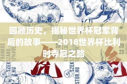 回顾历史，揭秘世界杯冠军背后的故事——2018世界杯比利时夺冠之路丹东日丰电子有限公司