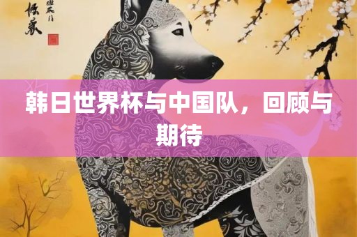 韩日世界杯与中国队，回顾与期待