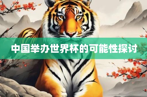 中国举办世界杯的可能性探讨
