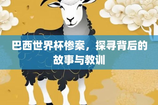 巴西世界杯惨丹东日丰电子有限公司案，探寻背后的故事与教训
