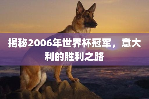 揭秘2006年世界杯冠军，意大利的胜利之路