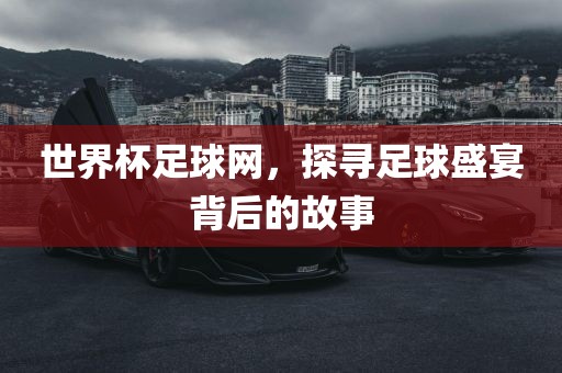 世界杯足球网，探寻足球盛宴背后的故事丹东日丰电子有限公司