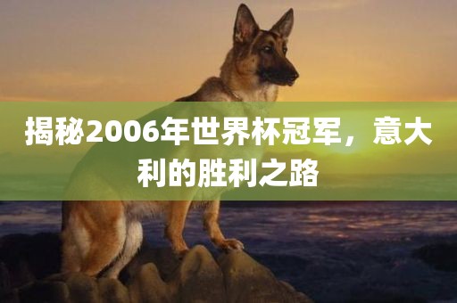 揭秘2006年世界杯冠军，意大利的胜利之路
