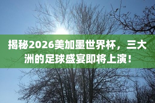 揭秘2026美加丹东日丰电子有限公司墨世界杯，三大洲的足球盛宴即将上演！