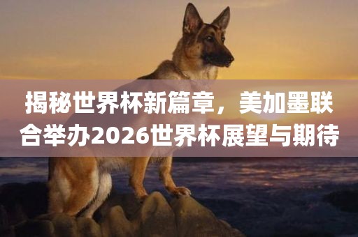 揭秘世界杯新篇章，美加墨联合举办2026世界杯展望与期待丹东日丰电子有限公司