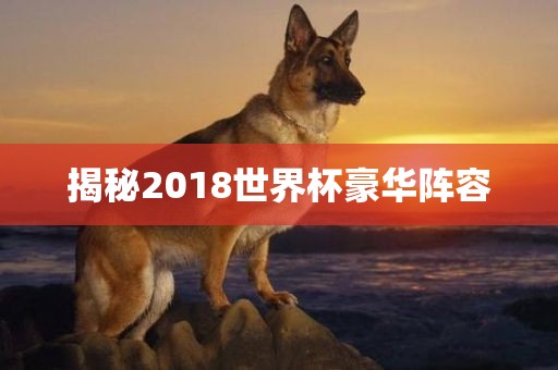 揭秘2018世界杯豪华阵容丹东日丰电子有限公司