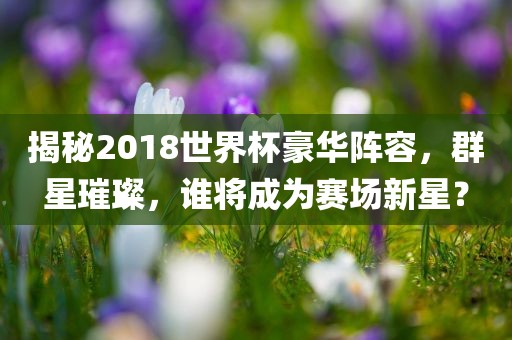 揭秘2018世界杯豪华阵容，群星璀璨，谁将成为赛场新星？