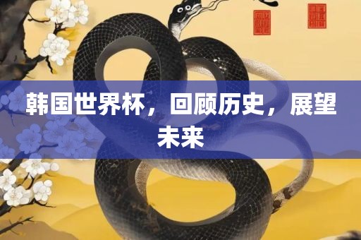 韩国世界杯，回顾历史，展望未来