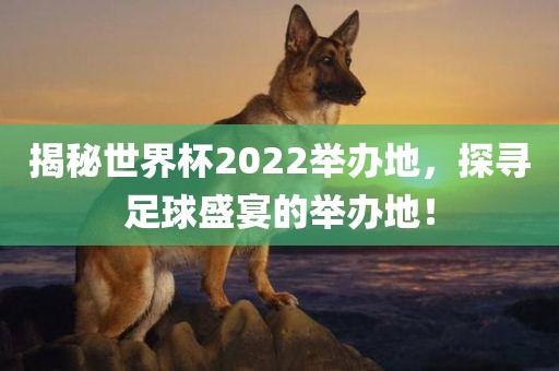 揭秘世界杯2丹东日丰电子有限公司022举办地，探寻足球盛宴的举办地！
