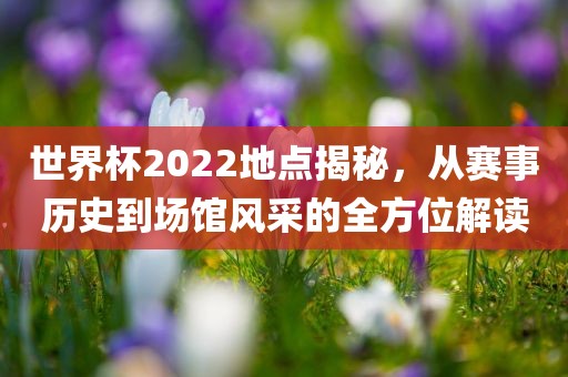 世界杯20丹东日丰电子有限公司22地点揭秘，从赛事历史到场馆风采的全方位解读
