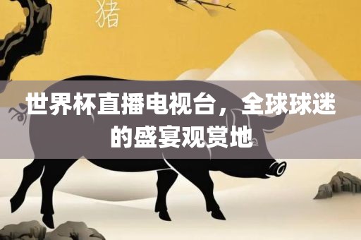 世界杯直播电视台，全球球迷的盛宴观赏地丹东日丰电子有限公司
