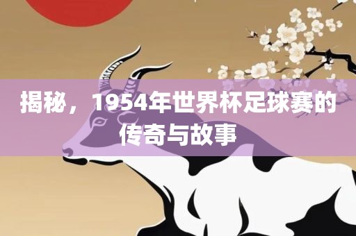 揭秘，1954年世界杯足球赛的传奇与故事丹东日丰电子有限公司