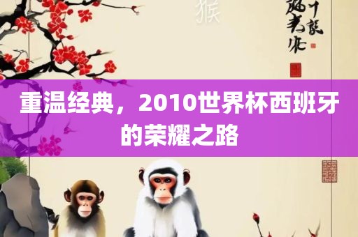 重温经典，2丹东日丰电子有限公司010世界杯西班牙的荣耀之路