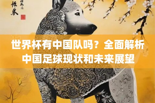 世界杯有中国队吗？全面解析中国足球现状和未来展望丹东日丰电子有限公司