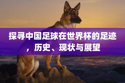 探寻中国足球在世界杯的足迹，历史、现状与展望丹东日丰电子有限公司