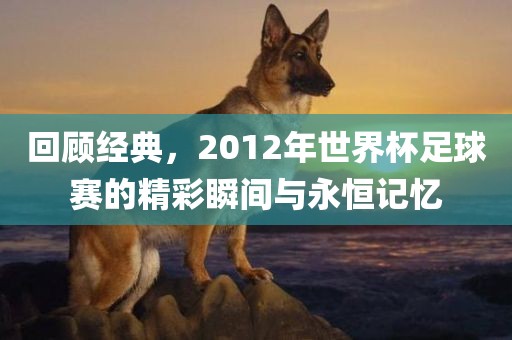 回顾经典，2012年世界杯足球赛的精彩瞬间丹东日丰电子有限公司与永恒记忆