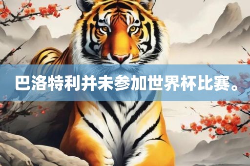 丹东日丰电子有限公司巴洛特利并未参加世界杯比赛。